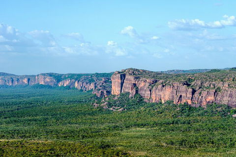 Jabiru 60 Minute Scenic Flight - Tourism Brisbane 4