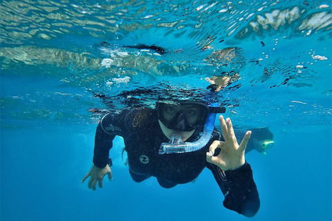 3 Day Whitsundays Sailing And Diving Adventure: Kiana - Tourism Brisbane 0