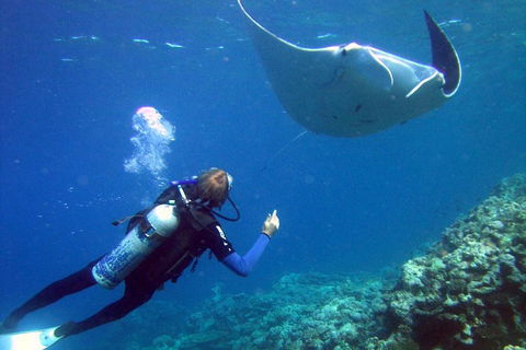 3 Day Whitsundays Sailing And Diving Adventure: Kiana - Tourism Brisbane 3