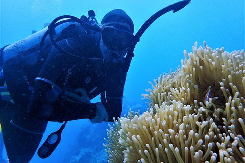 3 Day Whitsundays Sailing And Diving Adventure: Kiana - Tourism Brisbane 5