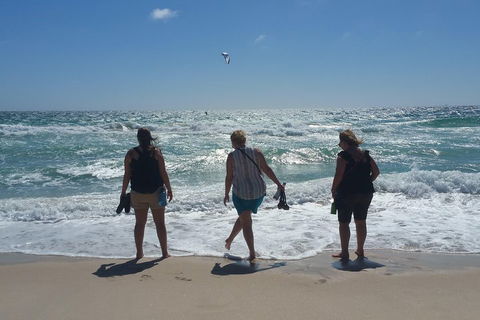 Very Best Of Perth Tour - Wildlife Park & City Highlights Tour - Tourism Brisbane 5