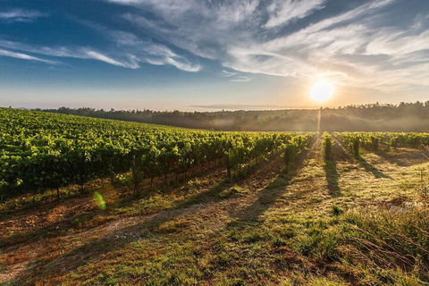 Perth To Margaret River Wine Tour - 2 Day Premium Boutique Wine Tour Experience - Tourism Brisbane 0