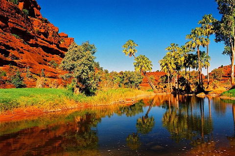 Palm Valley 4WD Day Tour - Tourism Brisbane 2