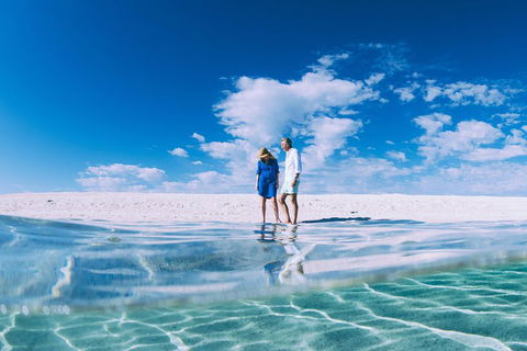 4-Day Coastal Loop Via Monkey Mia Wild Dolphins Kalbarri Pinnacles Perth Return - Tourism Brisbane 0