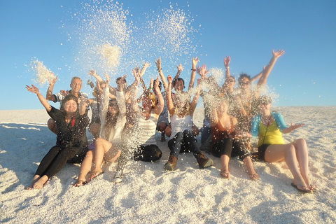 4-Day Coastal Loop Via Monkey Mia Wild Dolphins Kalbarri Pinnacles Perth Return - Tourism Brisbane 1