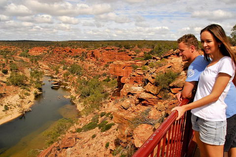 4-Day Coastal Loop Via Monkey Mia Wild Dolphins Kalbarri Pinnacles Perth Return - Tourism Brisbane 3
