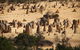 Pinnacles Sunset Dinner And Stargazing Experience A Small Group Tour - thumb 0