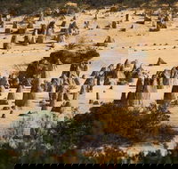 Pinnacles Sunset Dinner and Stargazing Experience a Small Group Tour - Tourism Brisbane