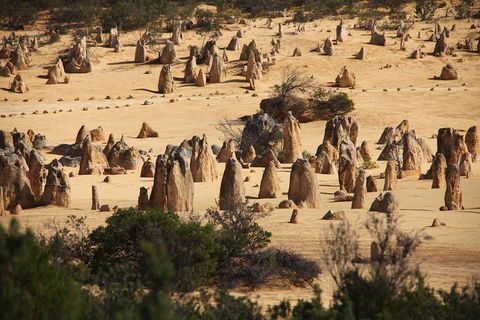 Pinnacles Sunset Dinner And Stargazing Experience A Small Group Tour - Tourism Brisbane 0