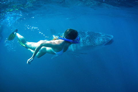 6-Day Coral Coaster From Perth To Exmouth One-Way Via Monkey Mia Ningaloo Reef - Tourism Brisbane 3