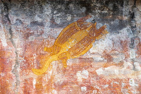 Kakadu Wilderness Escape - Top End Day Tour From Darwin - Tourism Brisbane 2