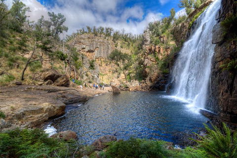 Melbourne To Adelaide South East Coast 3 Day Overland Tour - Tourism Brisbane 4
