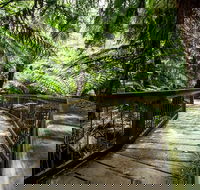 12 Apostles Eco-Friendly Great Ocean Road Iconic Adventure from Melbourne - Tourism Brisbane