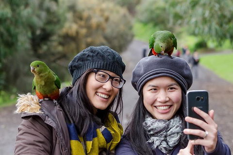 Small-Group Great Ocean Road And 12 Apostles Full-Day Tour From Melbourne - Tourism Brisbane 0