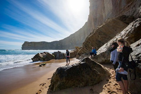 Small-Group Great Ocean Road And 12 Apostles Full-Day Tour From Melbourne - Tourism Brisbane 1