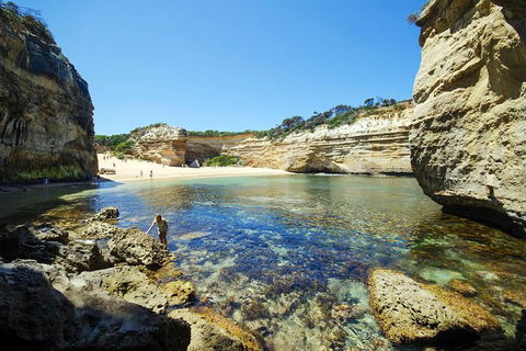 Small-Group Great Ocean Road And 12 Apostles Full-Day Tour From Melbourne - Tourism Brisbane 5
