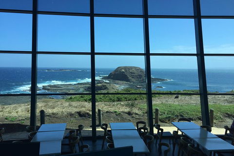 Small-Group Phillip Island Day Trip From Melbourne With Penguin Plus Viewing - Tourism Brisbane 5