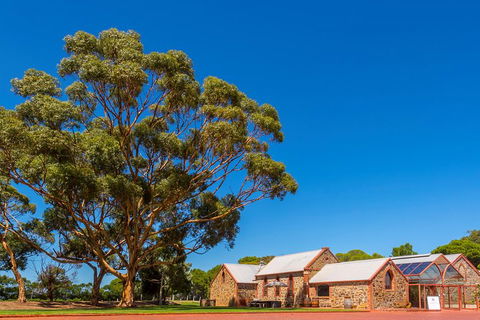 McLaren Vale And Glenelg Wine Tasting And Sightseeing (Half-day Afternoon) - Tourism Brisbane 5