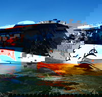 Express Jet Boat Ride  Aquaduck - Tourism Brisbane