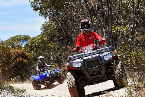 Kangaroo Island Quad Bike (ATV) Tours - Tourism Brisbane 5