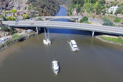2.50 Hour Afternoon Discovery Cruise Including Cataract Gorge Departing At 3 Pm - Tourism Brisbane 1