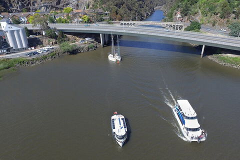 2.50 Hour Afternoon Discovery Cruise Including Cataract Gorge Departing At 3 Pm - Tourism Brisbane 3
