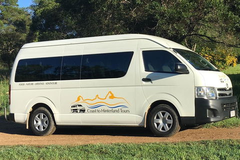 Noosa Everglades Serenity Cruise & Highlights Tour Inc. Lunch & Cruise - Tourism Brisbane 5