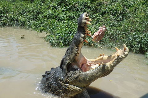 Litchfield And Jumping Crocodiles Full Day Trip From Darwin - Tourism Brisbane 3