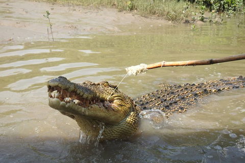 Litchfield And Jumping Crocodiles Full Day Trip From Darwin - Tourism Brisbane 4