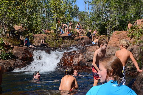 Litchfield And Jumping Crocodiles Full Day Trip From Darwin - Tourism Brisbane 5