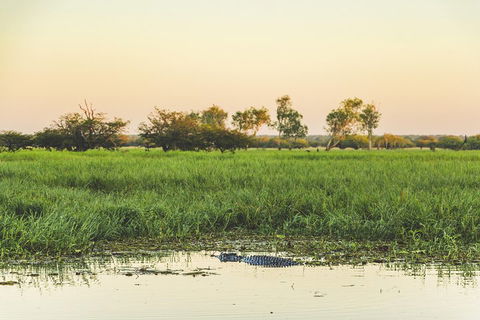 Yellow Water Cruise - Kakadu - Tourism Brisbane 3