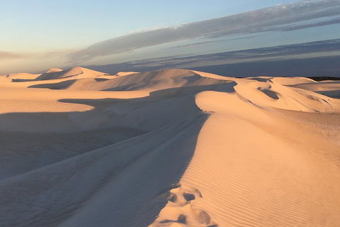Pinnacles Desert Private Tour - Tourism Brisbane 1