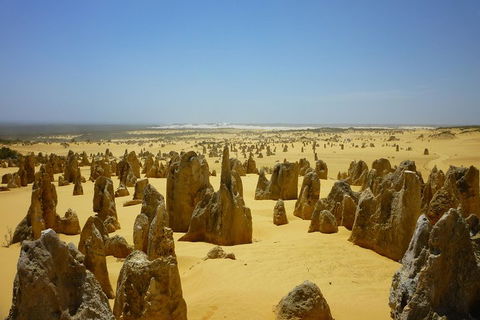 Pinnacles Desert Private Tour - Tourism Brisbane 2