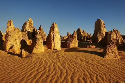Pinnacles Desert Private Tour - Tourism Brisbane 4