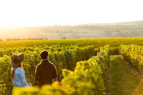 Margaret River Private Tour - Tourism Brisbane 2