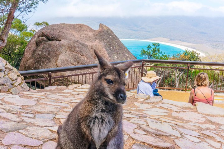  Brisbane Tourism