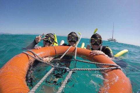 Full-Day Great Barrier Reef Sailing Trip - Tourism Brisbane 0