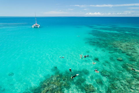 Full-Day Great Barrier Reef Sailing Trip - Tourism Brisbane 2