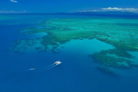 Full-Day Great Barrier Reef Sailing Trip - Tourism Brisbane 3