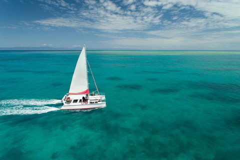 Full-Day Great Barrier Reef Sailing Trip - Tourism Brisbane 5