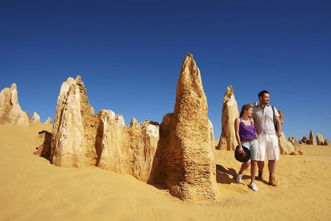 Pinnacles Day Trip From Perth Including Yanchep National Park - Tourism Brisbane 0