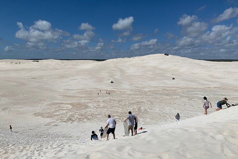 Pinnacles Day Trip From Perth Including Yanchep National Park - Tourism Brisbane 2