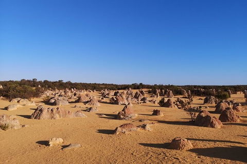 Pinnacles Day Trip From Perth Including Yanchep National Park - Tourism Brisbane 3