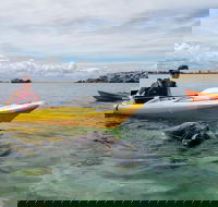 Seal Island and Penguin Island or Point Peron Sea Kayak Tour - Tourism Brisbane