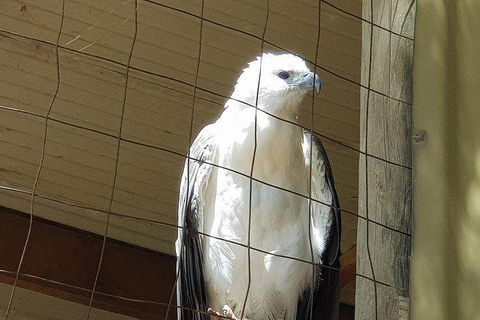 Phillip Island Penguin And Wildlife Tour - Tourism Brisbane 5