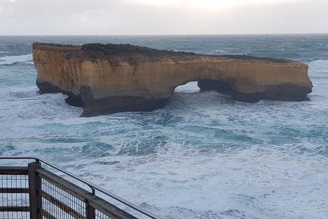 Full-Day Great Ocean Road Tour From Melbourne - Tourism Brisbane 5