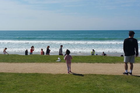 Surf Tour And Lesson - Tourism Brisbane 0