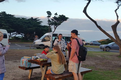 Surf Tour And Lesson - Tourism Brisbane 2