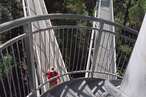 12 Apostles And Otway Fly Zipline Day Trip From Melbourne - Tourism Brisbane 2