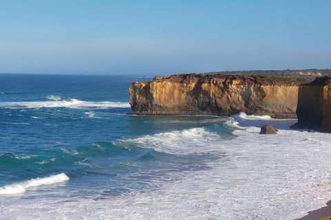 12 Apostles And Otway Fly Zipline Day Trip From Melbourne - Tourism Brisbane 4